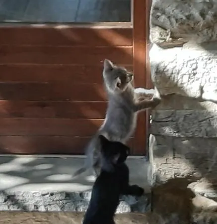 Oda ve Kahvaltı Costalta