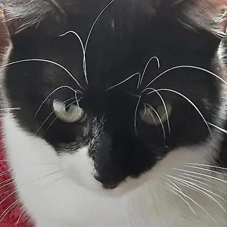 Costalta Oda ve Kahvaltı