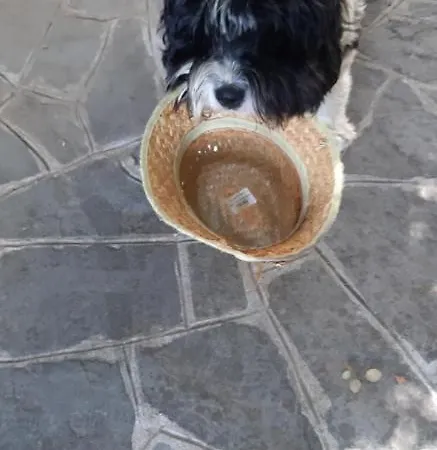 Costalta 3* Compiano