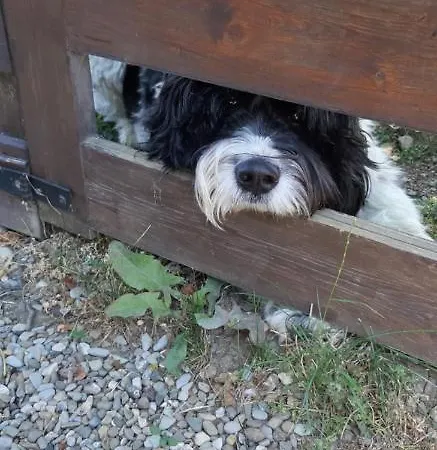 Costalta Oda ve Kahvaltı