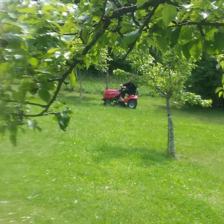 Oda ve Kahvaltı Costalta 3*