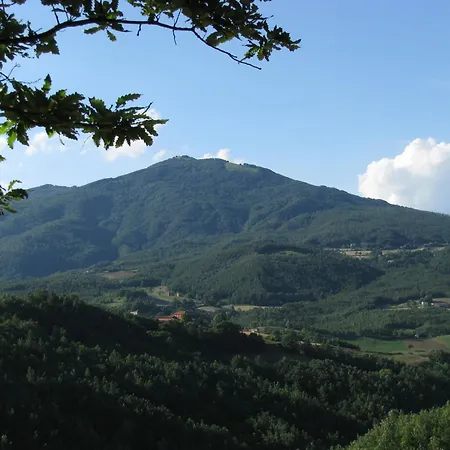 Oda ve Kahvaltı Costalta 3*