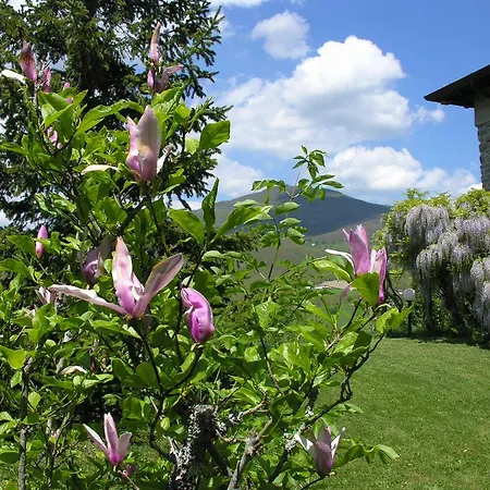 Costalta Oda ve Kahvaltı