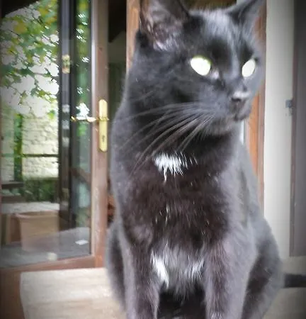 Oda ve Kahvaltı Costalta Compiano