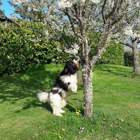 Oda ve Kahvaltı Costalta Compiano