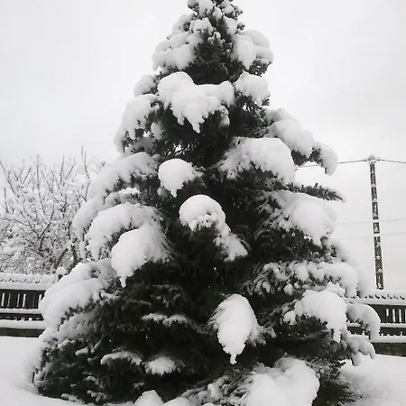 Oda ve Kahvaltı Costalta