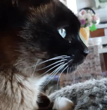 Bed & Breakfast Costalta Compiano