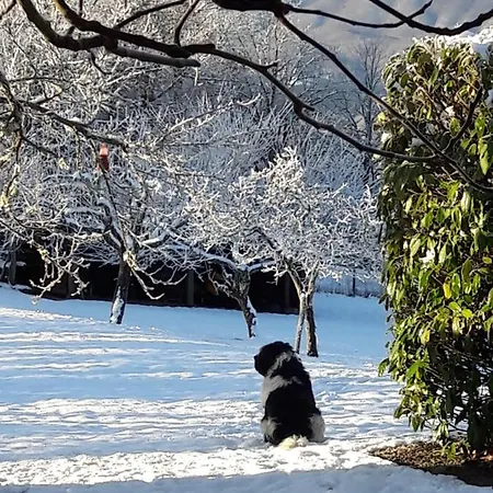 Bed & Breakfast Costalta