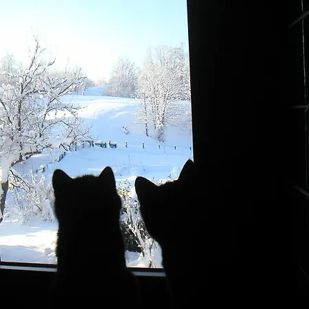 Bed & Breakfast Costalta Compiano