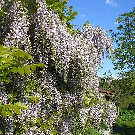 Bed & Breakfast Costalta Compiano