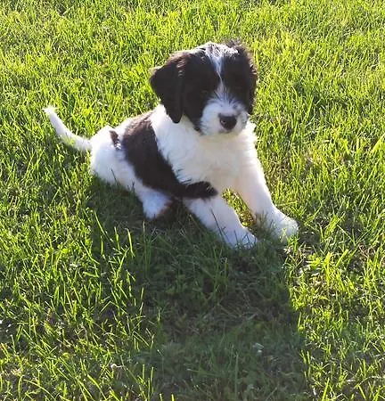 Frühstückspension Costalta