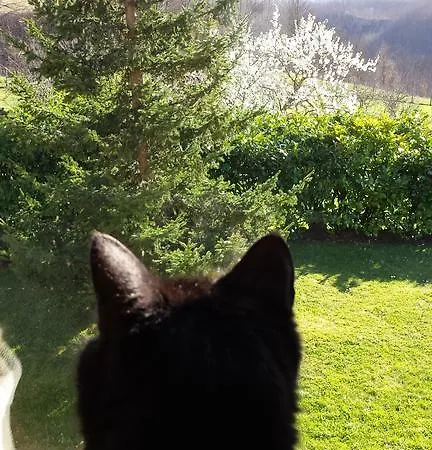 Bed & Breakfast Costalta