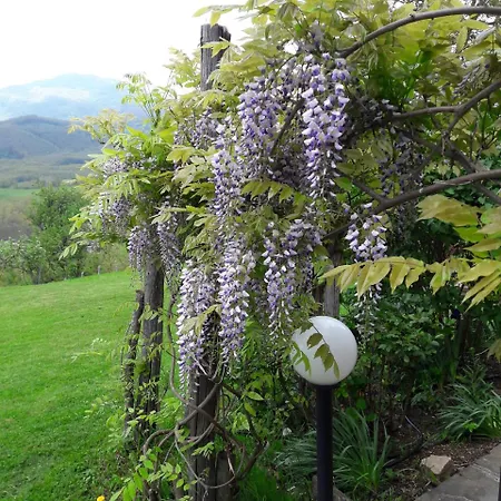 Bed & Breakfast Costalta