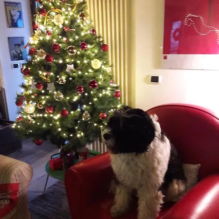 Bed & Breakfast Costalta 3*