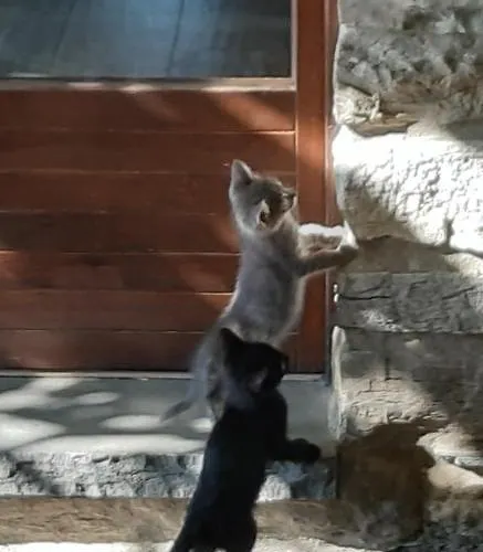 Bed and breakfast Costalta