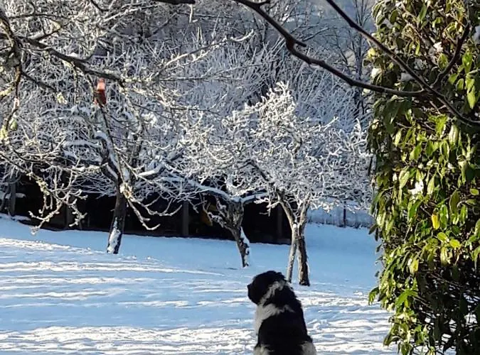 Bed and breakfast Costalta