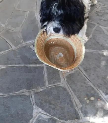 Costalta 3* Compiano