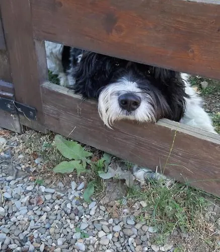 Costalta Bed & Breakfast