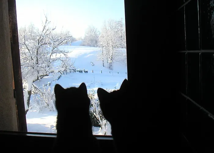 Bed & Breakfast Costalta Compiano