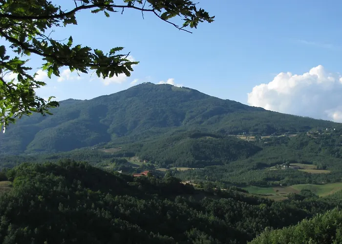 Bed and breakfast Costalta 3*