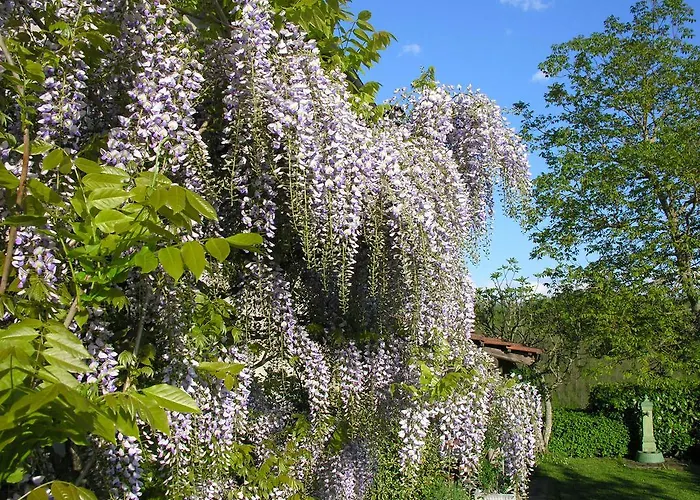 Bed and breakfast Costalta Compiano