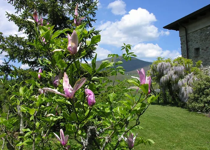 Costalta Bed and breakfast