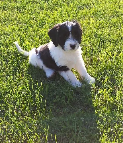 Bed & Breakfast Costalta