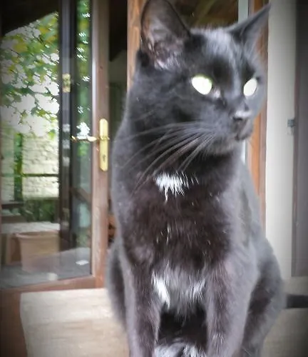 Bed and breakfast Costalta Compiano