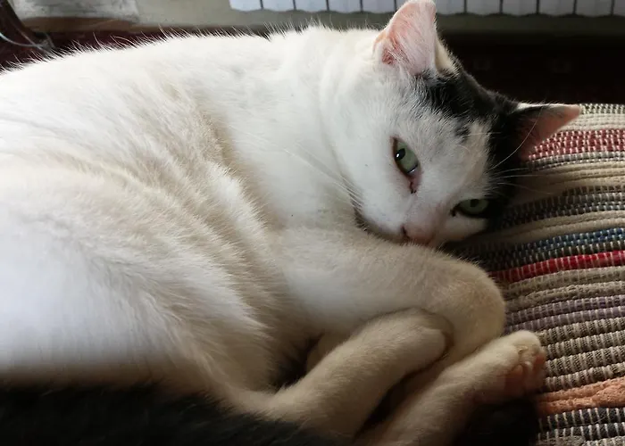 Bed and breakfast Costalta