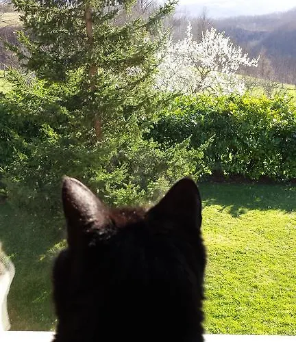 Bed & Breakfast Costalta