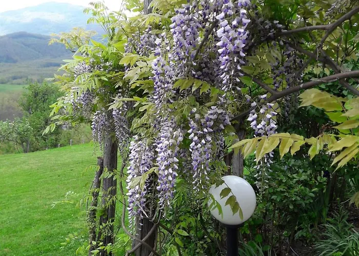 Bed and breakfast Costalta