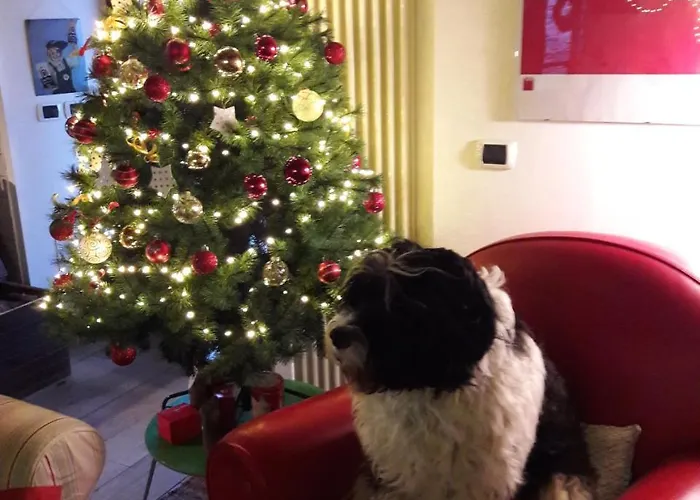 Bed and breakfast Costalta 3*