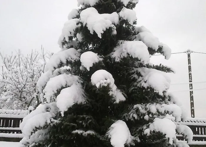 Bed and breakfast Costalta